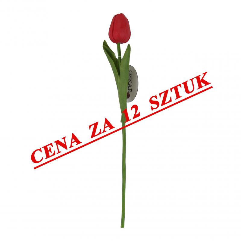 Tulipan gumowany 32cm czerwony <br>(12 sztuk)